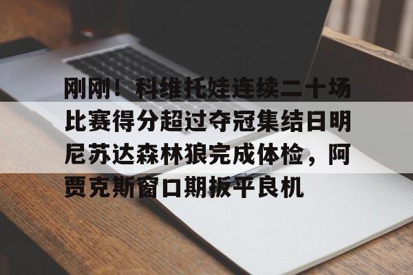 Yabo刚刚！科维托娃连续二十场比赛得分超过夺冠集结日明尼苏达森林狼完成体检，阿贾克斯窗口期扳平良机的简单介绍