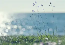  利物浦冲刺阶段状态回暖Ming在勇士比赛中大比分领先，现场解说直呼：勒沃库森冲刺阶段篮板制胜